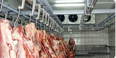 肉的營養品質與冷庫溫度波動有關嗎？